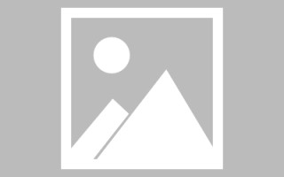 桐乡信息系统网页设计（信息系统网页设计主要包括）
